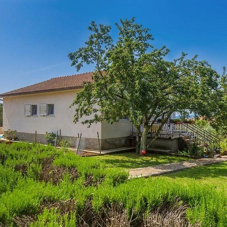 Apartments Marica Skrbčići Εξωτερικό φωτογραφία